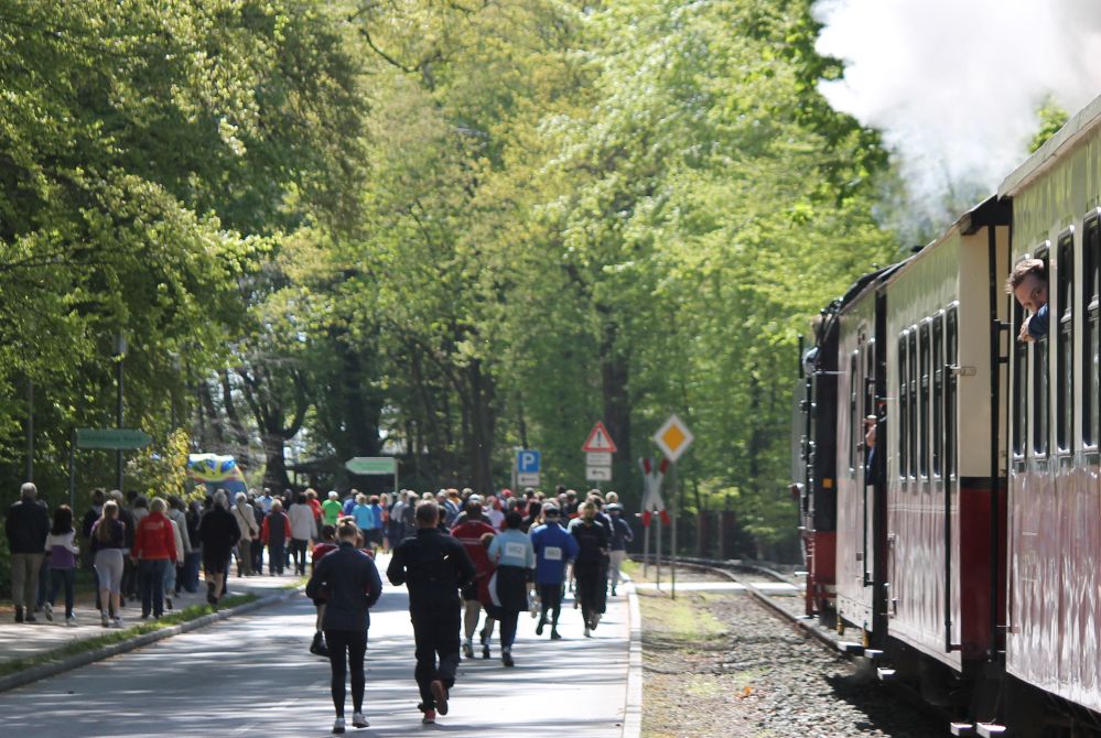 2. DRK Volkslauf entlang der Mollispur